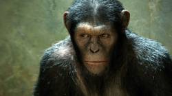 Zrození Planety opic HD (movie)