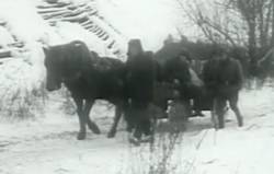 Prověrka osudem SD (movie)